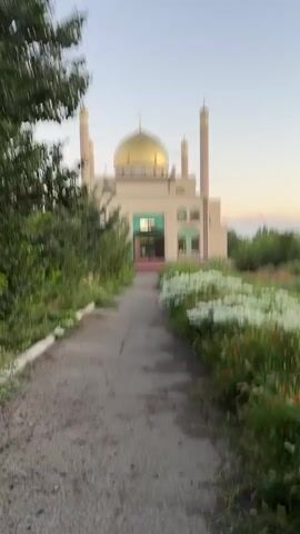 A full shot video shows a mosque with a golden dome and two minarets. The mosque is cream colored with green accents around the windows and entrance. A paved walkway leads to the mosque, lined with lush green trees and bushes on the left and flowering plants on the right. The sky above is clear and pale blue, suggesting either dawn or dusk. The overall atmosphere is serene and peaceful.