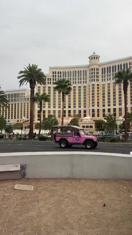 The video shows a street scene with several cars and palm trees in front of a large, tan-colored hotel with a domed tower. The sky is overcast. A pink vehicle with the number 1234 on the side is driving on the right side of the road. A white minivan with "2Trip" written on the side is driving on the left side of the road. Another white car with "STAR" and a phone number written on the side is also visible. People can be seen walking on the sidewalk in the background.