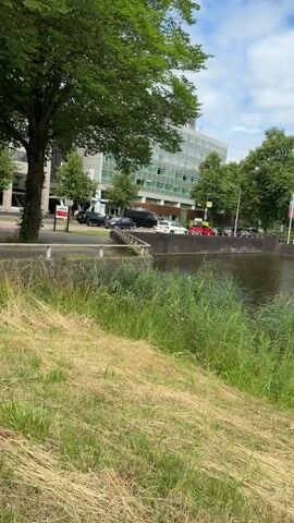 A panning video shows a canal with grass and reeds on the bank in the foreground. In the background, there are several modern buildings, trees, cars, and flags. The sky is cloudy.