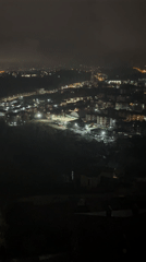 Evening moments in Sochi: aerial city view, couch time with dog