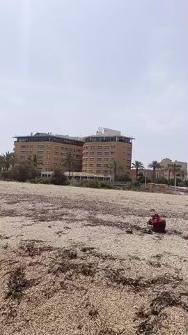 A video of a beach with a person sitting on the sand. The person is wearing a red shirt and is facing away from the camera. The beach is covered in pebbles and seaweed. In the background, there are several buildings and palm trees. The sky is clear and blue. The waves are crashing on the shore.