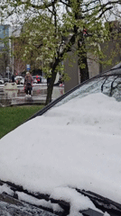 Unusual weather blankets car in white substance during daytime