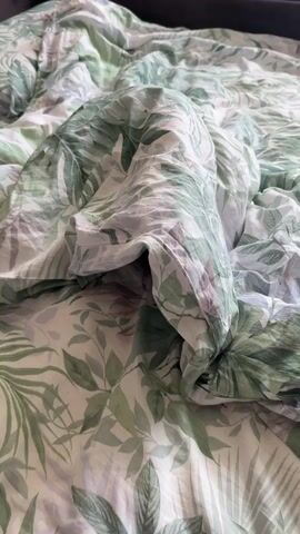 A video shows a gray cat with orange eyes peeking out from under a green and white floral duvet. The cat is mostly hidden, with only its head visible in the frame. The duvet has a pattern of green leaves and white flowers.