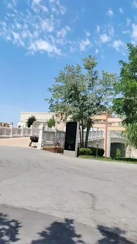 The video shows an outdoor scene on a sunny day with a blue sky and scattered clouds. In the foreground, there is an asphalt surface with shadows from trees. A trash bin is visible on the right side. In the middle ground, there is a paved area with decorative fences and two ostrich-like statues. Several trees are scattered throughout the scene, including a large one on the left and two on the right. In the background, there are some buildings and more trees. The camera pans slowly from left to right.