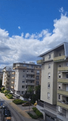 Morning captures show cat care, urban views under blue skies