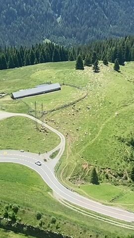 The video shows a panoramic view of a mountainous landscape with lush green meadows and dense forests. A winding paved road snakes through the terrain, with a white car driving on it. In the distance, there's a farm with a long, rectangular building and a fenced enclosure where livestock, possibly cows, are grazing. The sky is a vibrant blue with scattered white clouds, and the sun is shining brightly. The overall impression is one of a serene and picturesque natural environment, likely in the Alps.