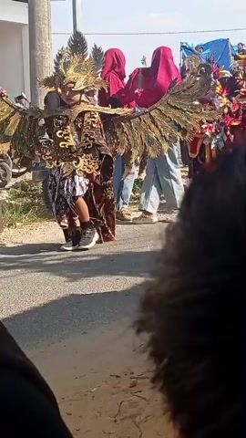 A young person in elaborate, peacock-themed costume with large wings walks down a paved road. The costume features gold and dark embellishments. In the background, several people are watching the procession, some wearing headscarves and casual clothing. One person in a red headscarf is standing close to the main subject, appearing to adjust or interact with the costume's wings. Further down the road, more individuals in colorful costumes, some with feathered headwear, are visible, suggesting a parade or cultural event is taking place. The environment appears to be a sunny outdoor setting with buildings and vegetation visible.