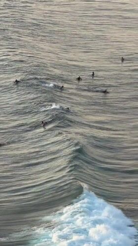 Surfers and cliffs along the Kuta Selatan coast at sunrise