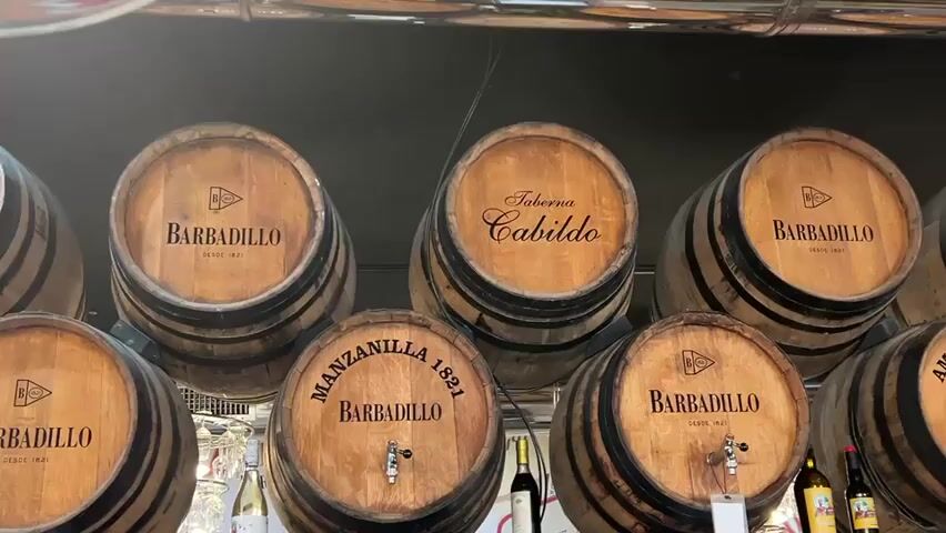 The video shows a close-up view of several stacked wooden barrels, most of which have branding and text indicating they are associated with "BARBADILLO" and some with "Taberna Cabildo" and specific types like "MANZANILLA 1821". The barrels are arranged in multiple rows, with the front row barrels having spigots. Some bottles and glassware are visible on shelves below the barrels, and a metal pipe runs across the top of the frame. The lighting suggests an indoor environment, possibly a bar or winery. The camera pans slightly from left to right, focusing on the details of the barrels. There are no people visible in the frame.