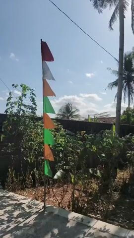 A vertical video shows a pole with several triangular flags attached to it. The flags are arranged in a sequence of colors: red, white, orange, green, orange, green, and orange. The pole is planted in the ground and appears to be made of metal. The background consists of lush green foliage, a brick wall, and a bright blue sky with scattered clouds. Palm trees are visible on the right side of the frame. The overall scene suggests an outdoor setting, possibly in a tropical or subtropical region. The lighting indicates it is daytime.