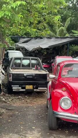 The video shows a car lot with many cars parked next to each other in disrepair, including a red VW bug.  The car lot appears to be located near or under a tree. The day is overcast.