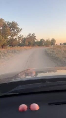 The video shows a view from inside a car, looking out through the windshield at a dirt road. The road curves to the right and is flanked by dry grass and scattered trees. The sky is a clear, pale blue with a hint of orange at the horizon, suggesting either sunrise or sunset. Two round, reddish-pink objects are visible on the dashboard in the foreground. The overall scene is rural and appears to be during daylight hours.