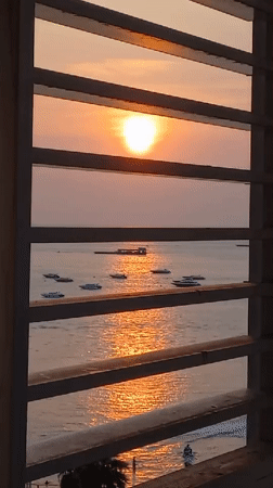 Casual morning moments captured across Pattaya beachfront and skate park