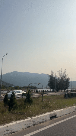 Road scene documented at Nam Natural Heritage Area, Vietnam