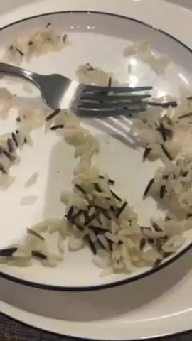 The video shows a white plate with black trim, with some leftover rice and a fork on it. The rice appears to be a mixture of white and wild rice. The plate is resting on another plate.