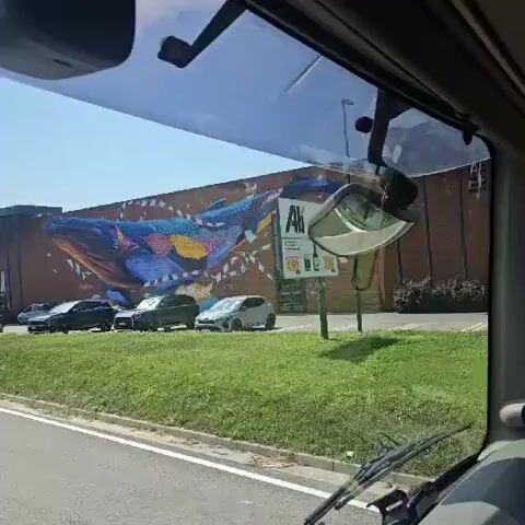 This is a video taken from inside a vehicle, looking out through the windshield and side mirror. The primary focus of the video is a large mural painted on the side of a building. The mural depicts a colorful whale with intricate patterns and designs, seemingly swimming through abstract elements. In front of the building, there is a parking lot with several cars parked. The environment appears to be an outdoor setting on a sunny day with green grass and a road in the foreground. The camera is moving, suggesting the vehicle is in motion, providing a dynamic view of the scene.