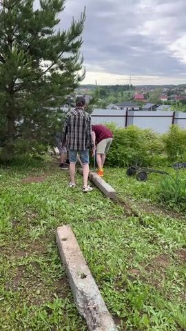 Three men are working outdoors in a grassy area under an overcast sky. A man in a black and white plaid shirt, blue denim shorts, and white sneakers is standing with his back to the camera, observing. Another man, wearing a red t-shirt, beige shorts, and orange footwear, is bent over, digging into the ground with a shovel next to a concrete block. A third man, largely obscured by the pine tree, is partially visible to the left. Several concrete blocks are lying on the ground. In the background, there is a metal fence, green bushes, and residential houses in the distance. A wheeled garden tool is visible on the right side of the frame.