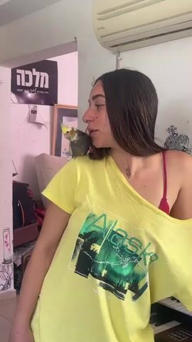 A young woman with long, dark hair is filmed indoors, likely in a home setting, with a cockatiel perched on her right shoulder. She is wearing a loose-fitting yellow t-shirt with "Alaska" printed on the front, and a red bra strap is visible. The cockatiel, a grey and yellow bird, is seen gently pecking at her ear and neck area, occasionally touching her cheek as the woman slightly opens her mouth. She appears calm and accustomed to the bird's presence.

In the background, a white wall features a poster with Hebrew text "מלכה" (Malka, meaning Queen) and the English words "CRAFT BEER." A framed picture, a couch, and an air conditioning unit are also visible, along with a backpack and what appears to be a keyboard or piano in the lower right corner. The scene suggests a relaxed, everyday interaction between a pet owner and their bird, illuminated by natural daylight.