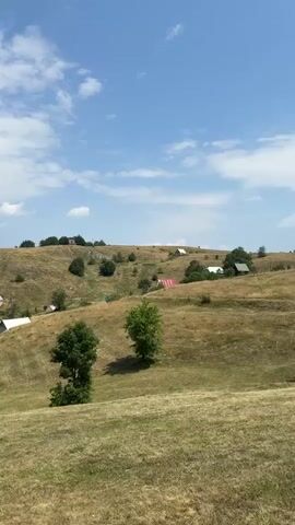 The video shows a panoramic view of a rural landscape under a bright blue sky with scattered white clouds. The terrain is hilly and covered in dry, yellowish grass, indicating a summer or late summer setting. Several scattered houses with white roofs are visible nestled on the hillsides. Trees, mostly deciduous and appearing green, are interspersed throughout the landscape, some clustered and others standing alone. In the foreground, two trees are prominent. In the middle ground, there are more houses and trees, and some laundry appears to be drying on a line outside one of the houses. The background reveals rolling hills and mountains fading into the distance. The overall scene depicts a peaceful, remote village or countryside. There are no people or animals visible in the video.