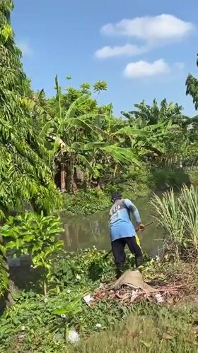 Everyday life along the canals and streets of East Java
