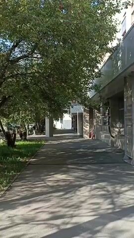 A pedestrian walks down a sun-dappled sidewalk beside a building. A large tree with green leaves shades the left side of the sidewalk. The building appears to be a commercial establishment, possibly with shops or offices, as indicated by the windows and what looks like an awning. Several air conditioning units are visible mounted outside the building. The sidewalk leads into the distance where more trees and buildings can be seen. The sun casts dappled shadows across the ground, indicating a bright, sunny day.