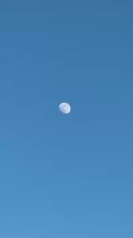 The video shows a white moon in a blue sky. The camera pans down to show a view from what appears to be a balcony or patio, with green trees and the top of a building visible in the background. The railing of the balcony is also visible.