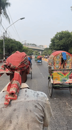 Cycle rickshaws navigate Dhaka streets in routine transport