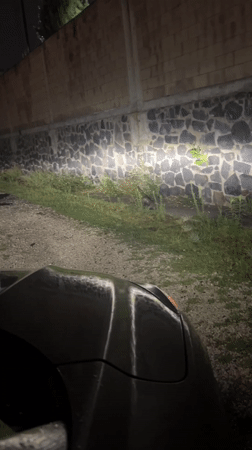 Late-night dessert consumption and car activity documented by witness