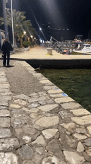 Evening wildlife and boats observed at Budva marina