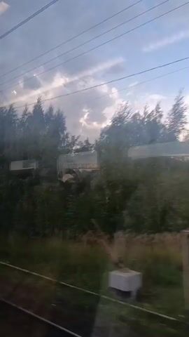 This video captures a view from a moving train, looking out the window. The scenery consists of trees and vegetation alongside the train tracks. Overhead power lines and utility poles are visible, indicating an electrified railway. In the background, there appear to be some industrial structures or buildings partially obscured by foliage. The sky is visible, suggesting it is daytime with some clouds. The overall impression is of a rural or semi-industrial landscape passing by.