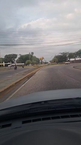 The video, shot from inside a car, captures a street scene under an overcast sky. The car approaches a roundabout featuring a statue of an orange atop a tree. Various trees, palm trees, and a flagpole stand around the roundabout. Other cars and a motorcycle are visible in the distance on adjacent roads. Powerlines are strung overhead. The dashboard of the car, including the windshield wipers, is visible in the foreground. The car's audio plays a Spanish-language song.
