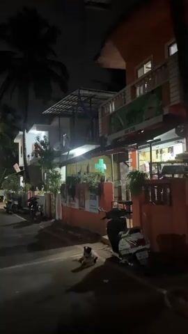 The video captures a quiet street scene at night in Marra, India. Buildings with varying architectural styles and illuminated windows line both sides of the paved road. On the right, a multi-story building features an orange lower facade with several signs, including a large banner that appears to read "Darry Jeet" or "Garry Jeet" and "ROSE STORE." Below it, a smaller sign simply states "STORE," and a green sign with "BIO-" is also visible, suggesting a business like a pharmacy or clinic.

Several palm trees and other greenery are seen throughout the scene, silhouetted against the dark night sky. Parked motorcycles and scooters are scattered along the street; a white scooter is prominently visible on the right, near the orange-fronted building.

The central subject of the video is a white and black dog, primarily white with a dark head and ears, resting calmly on the asphalt in front of the orange building. It lies still, observing its surroundings. In the distance on the left side of the street, a few people can be seen walking briefly. The scene is lit by artificial lights from the buildings and streetlights, creating strong shadows on the ground. The overall ambiance is tranquil.