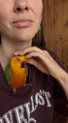Woman poses for selfies with colorful parrot in Khimki