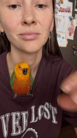 Woman poses for selfies with colorful parrot in Khimki