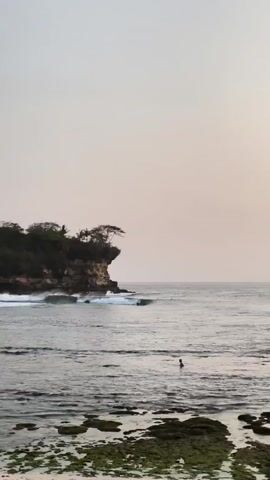 The video shows a coastal scene with a cliff on the left and the ocean in the background. The sky is a soft, hazy color. There are waves breaking near the base of the cliff. In the foreground, a person is standing in shallow water, facing away from the camera. As the video progresses, the person appears to be standing on a surfboard and then paddling. More surfers are visible further out in the ocean. The water is calm with gentle ripples. The cliff is covered in vegetation, with trees growing on its edge. The overall impression is a tranquil and serene natural environment.