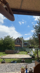 Woman filmed dancing in multiple locations around Belopoptsi home