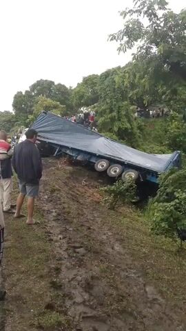The video captures the aftermath of an overturned truck in a natural, muddy environment, likely near San Carlos, Venezuela. In the foreground, a man wearing a dark jacket and shorts stands observing the scene. A large blue trailer truck lies on its side down a steep, muddy embankment, with its cargo area covered by a blue tarp facing upwards. Its wheels are visible on the side facing the viewer.

Further down the embankment and into a muddy stream, numerous individuals are actively engaged in retrieving blue crates. Many people are in the water, some waist-deep, collecting the crates that are scattered in the stream and along its banks. Other people are standing on a higher bank in the background, also observing the situation. The area is characterized by dense green trees and vegetation, and the ground is noticeably muddy, suggesting recent rain or a naturally wet terrain. The overall atmosphere appears focused on salvage, with people diligently working to recover the contents of the truck, rather than an immediate emergency response. No visible text is discernible on the truck or crates.