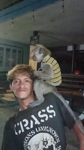A young man with light brown hair is standing and holding a monkey on his left shoulder in an outdoor setting. The monkey is wearing a light yellow and white striped shirt and a silver chain. The man is wearing a black t-shirt with white writing and graphics on it. There are lights hanging from the ceiling in the background. Someone can be heard talking to the monkey in the background.