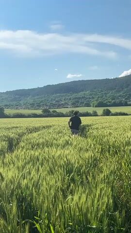 A person is filmed from behind walking through a vast, vibrant green wheat field in Kormiansko, Bulgaria, under a clear blue sky with scattered white clouds. In the background, rolling hills covered with lush green trees and what appears to be a distant village are visible.

At the beginning of the video, the person, wearing a dark top and light-colored bottoms, walks purposefully away from the camera, creating a slight path through the tall crops. Around the 0:02 mark, they stop in the middle of the field and extend their arms wide, seemingly embracing the expansive natural surroundings. The sunlight illuminates the field, highlighting the texture and movement of the wheat. The scene evokes a sense of freedom and appreciation for nature on a bright, sunny day. No text is visible in the video.