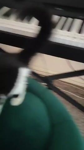 A black and white cat is on a piano, with its paws on the keys. It then jumps off the piano onto a green chair, arching its back and tailing its tail. The piano is on a stand, with cables and other equipment underneath it. The room is carpeted.
