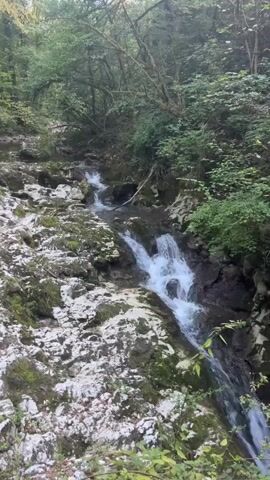 The video shows a flowing stream in a forest. The stream has several small waterfalls and is surrounded by rocks and vegetation. The camera pans across the stream and then moves to a wooden bridge that crosses over it. The bridge is old and appears to be made of wood and metal. There are trees and foliage on either side of the bridge.