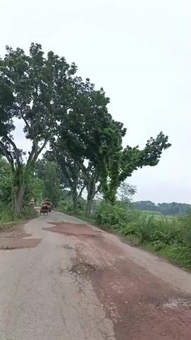 A truck carrying several people and goods travels down a paved road lined with trees. The road has several potholes filled with dirt and debris. The sky is overcast.
