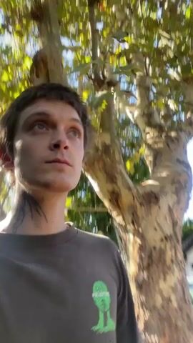 A person with short, dark hair and tattoos on their neck is featured in an outdoor setting. They are wearing a dark grey t-shirt with a green graphic on the front.

Initially, the person is shown outdoors, possibly walking or standing, with trees and a street visible in the background, under bright sunlight. Their gaze is directed forward. Subsequently, they turn towards a wall covered in dense, green ivy. They lean their head against the ivy, allowing some leaves to partially obscure their face, and close their eyes, appearing serene or contemplative. Finally, the person looks directly at the camera, smiling subtly. The video seems to be a self-recorded sequence, capturing different moments outdoors on a sunny day.