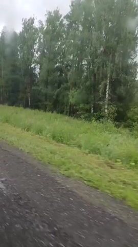 A video shows a blurred view from a moving vehicle traveling along a dirt road. To the right of the road, there is a grassy field that transitions into a dense forest with tall trees. The sky appears overcast and it seems to be raining, as evidenced by the streaks on the camera lens. A speed limit sign with the number 70 is visible on the left side of the road at the beginning of the clip.