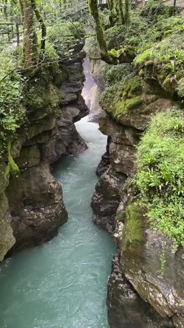 The video shows a turquoise river flowing through a narrow canyon. The canyon walls are steep and rocky, covered in lush green moss and vegetation. Trees with visible branches and leaves are visible at the top of the canyon, with some branches extending over the water. The water appears to be moving swiftly. The scene is predominantly green and brown with the vibrant turquoise of the river.