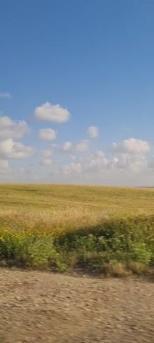 The camera is moving through a rural area with fields of golden crops and some green vegetation. The sky is blue with scattered white clouds. In the distance, there are some power lines. The ground is mostly dirt or gravel. A small, leafy tree appears briefly on the side.