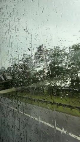 The media file captures a view through a rain-streaked window, likely from a moving vehicle, on a cloudy day. The foreground is dominated by the texture of raindrops distorting the view. Beyond the glass, a road with a white line is visible, suggesting a journey. Trees with lush green foliage line the roadside, their forms softened by the rain and the distance. A metal guardrail separates the road from a grassy embankment. The overall impression is one of a tranquil, perhaps slightly melancholic, rainy day journey through a semi-rural or suburban landscape. The time of day appears to be daytime, judging by the ambient light, but the overcast sky obscures direct sunlight. There is no visible text in the media file.