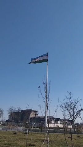 The video shows a flag of Uzbekistan waving in the wind on a tall pole against a clear blue sky. In the background, there is a building with a modern design, partially obscured by bare trees. The foreground consists of a grassy area, possibly a park, with young, leafless trees planted throughout. The video captures a stationary, wide shot of the flag and its surroundings, presenting a calm, sunny day scene.