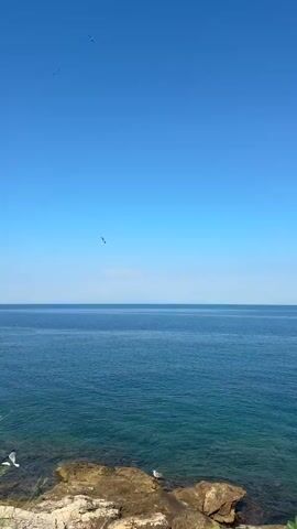 This is a vertical video of a body of water, likely the sea, under a clear blue sky. The water is a deep blue and appears calm with some lighter turquoise areas closer to the shore. The shoreline is rocky with some sparse vegetation. In the distance, a coastline with hills and some buildings is visible. There are several birds flying in the sky. A lamppost is present on the right side of the frame, and a paved path or road curves away from the viewer. The overall impression is a serene coastal landscape on a sunny day.