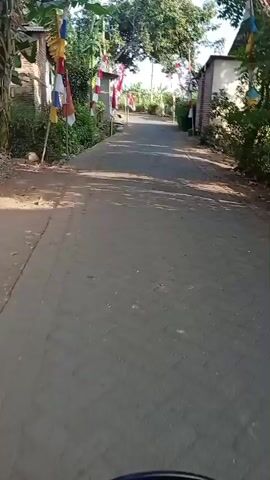 The video shows a paved path or road in what appears to be a rural or suburban area. Red and white flags are displayed along both sides of the path, suggesting a celebration or holiday, possibly Independence Day given the flag colors often associated with Indonesia. The path is lined with greenery and some buildings on the right side, one of which is made of brick. The sun casts shadows on the path, indicating it is daytime, likely morning or afternoon. The perspective suggests the video is being recorded from a moving vehicle, possibly a motorcycle, as a portion of the vehicle's handlebars are visible at the bottom of the frame. The path is relatively narrow and leads forward into the distance where more flags and trees are visible.